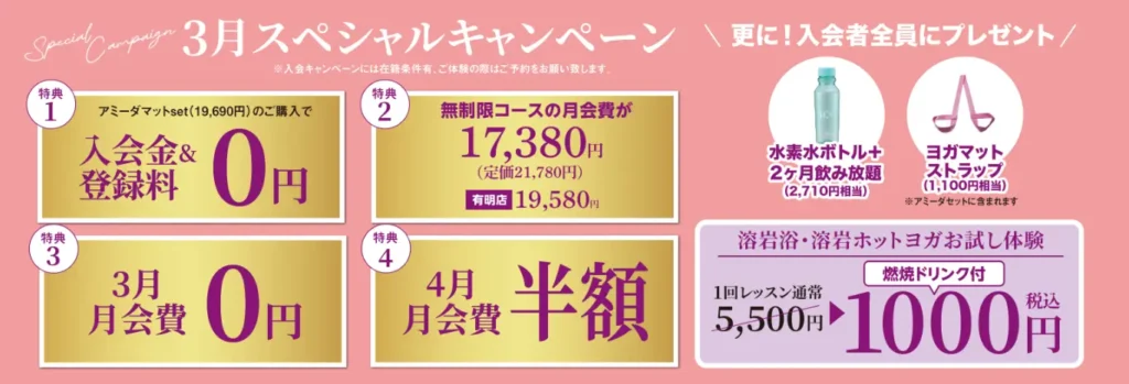 AMI-IDAのキャンペーン